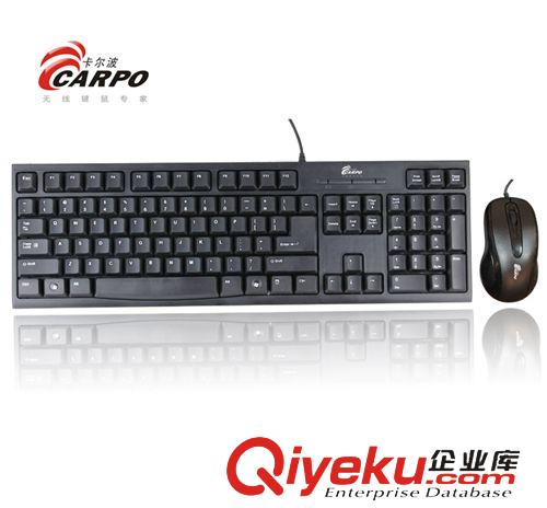 卡爾波品牌無(wú)線鍵鼠*有線 電腦配件鍵盤(pán)鼠標(biāo)CARPO卡爾波T700 （P+U）套件誠(chéng)招廣西市級(jí)代理原始圖片2