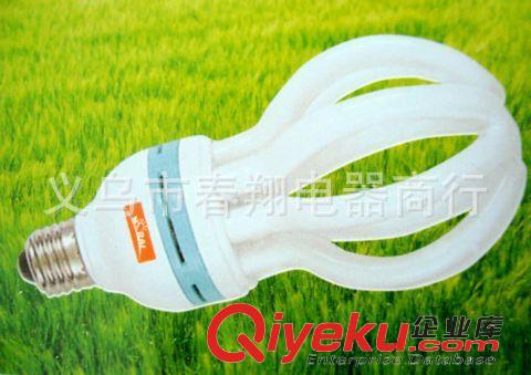 節(jié)能燈 〖專業(yè)供應(yīng)〗原裝zp led家用節(jié)能燈泡 家用燈泡原始圖片2