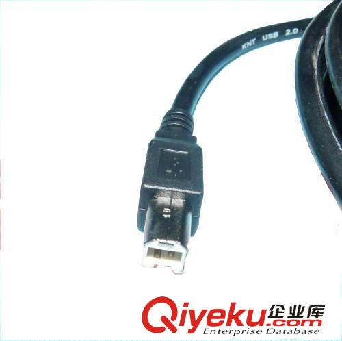 USB 系列 批發(fā)5米黑色 USB 2.0 打印線 全銅帶磁環(huán) 打印機(jī) 掃描儀數(shù)據(jù)線