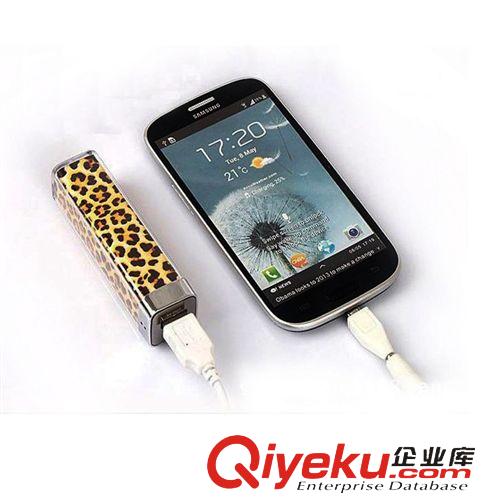 移動(dòng)電源 豹紋移動(dòng)電源 唇彩香水手機(jī)充電寶 2600毫安應(yīng)急充隨身充一件代發(fā)原始圖片2