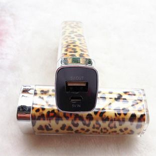 移動(dòng)電源 豹紋移動(dòng)電源 唇彩香水手機(jī)充電寶 2600毫安應(yīng)急充隨身充一件代發(fā)原始圖片3