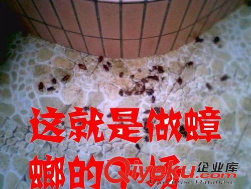 日用百貨 批發(fā)強(qiáng)力滅蟑清滅蟑螂藥小蠊{tx}藥滅蟑螂藥{tx}餌劑全窩端bs死原始圖片2