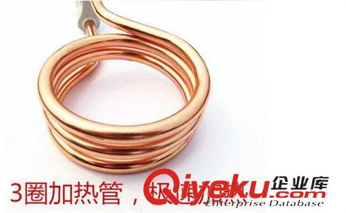 熱得快電熱棒 熱得快家用燒水器 不銹鋼加熱棒 燒洗澡水快速熱水器 桶燒原始圖片2