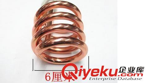 熱得快電熱棒 大功率熱得快 2500W熱水器 電熱管加熱棒 新韶光水桶燒水器F8原始圖片2