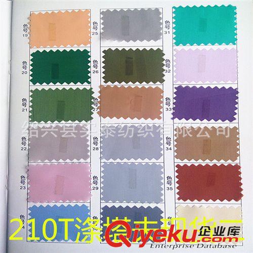 滌塔夫 210T滌塔夫 里布 有現貨 也可訂制染色 防水 涂層原始圖片3