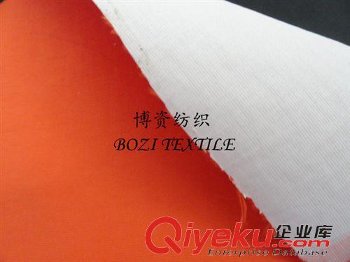 塔絲隆 供應(yīng)沙灘褲，戶外面料塔絲隆