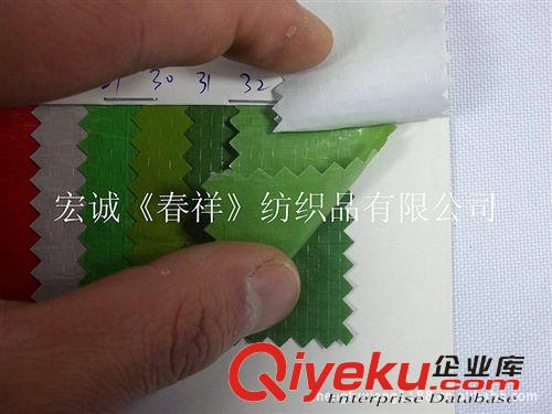23：卷材PVC/ EVA/TPU/PP/PEVA 廠家直銷PE編織布PP編織布PP編織休閑彩色野餐野營墊防雨蓬布塑料原始圖片3