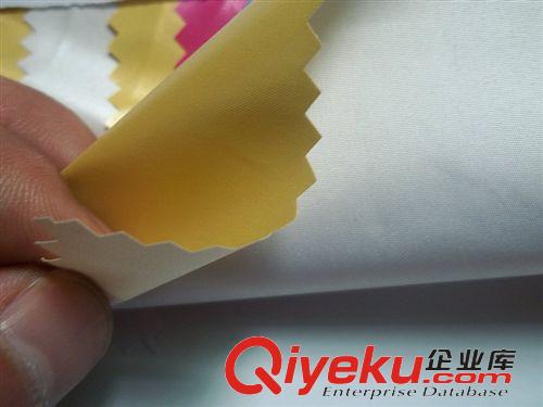 7：風衣面料大全 珠光鏡面布高密滌綸布高密亮面尼龍面料高密油光羽絨服時裝面料原始圖片3