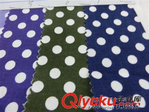 圓點布 SQ019#高品質全棉梭織印花布 彈力小圓點府綢印花布