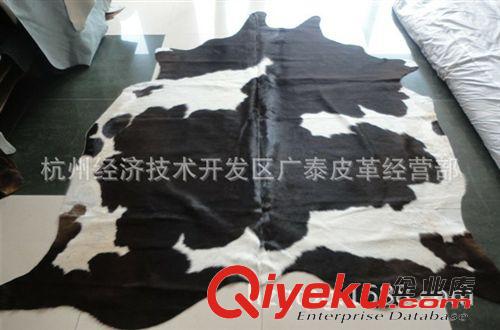 奶牛皮 專業(yè)銷售 環(huán)保頭層小奶牛zp皮革 各種顏色整張奶牛皮原始圖片2