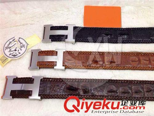 進口鱷魚皮帶 進口凱門鱷魚皮帶 鱷魚骨面腰帶 男士 精品 sc