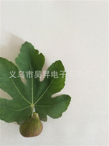 人造革 廠家直銷工程皮革、移門皮革、適合gd別墅、會(huì)所裝修原始圖片2