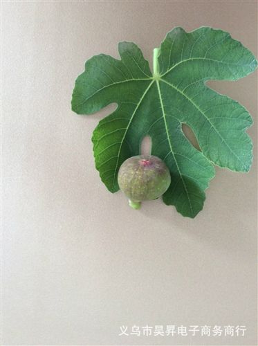 人造革 廠家直銷阻燃環保軟包皮革、移門衣柜皮革、家裝皮革等