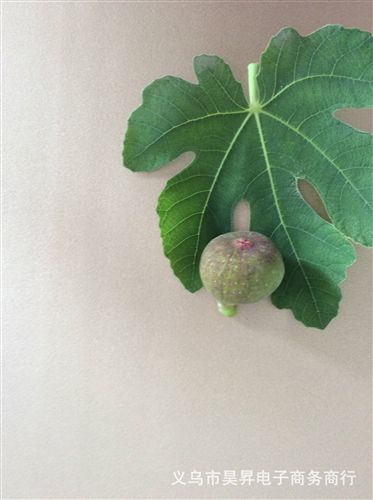 人造革 廠家直銷阻燃環(huán)保軟包皮革、移門衣柜皮革、家裝皮革等原始圖片2