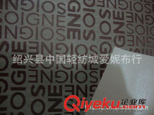 牛津布系列 提花牛津布發(fā)泡面料原始圖片2