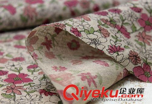 網(wǎng)絡(luò)推廣 專業(yè)供應(yīng)全棉帆布 印花防水帆布（印花帆布推薦，歡迎來電咨詢）原始圖片2