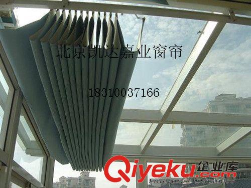 窗簾 廠家直銷天棚簾電動(dòng)遮陽天棚簾電動(dòng)窗簾電動(dòng)卷簾別墅電動(dòng)遮陽簾原始圖片2