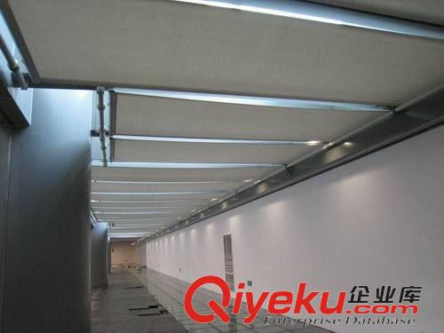 窗簾 廠家直銷 專業定制電動卷簾電動開合簾 FSS電動天棚簾電動窗簾