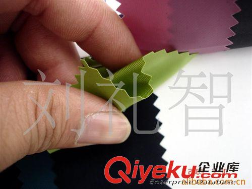 尼龍-面料類／可提拉／防水類／70DPVC 73條 富誠-210D尼龍PVC58”￥9.5/碼.有細(xì)圖210D尼龍牛津布涂PVC現(xiàn)貨圖原始圖片3