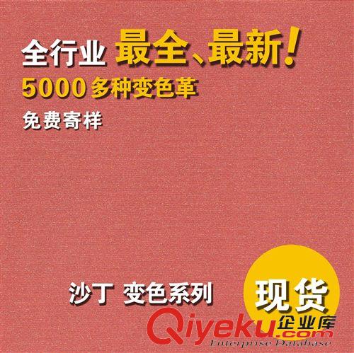 2012年皮樣 廠家直供【皮革壓印標PU變色革筆記本】