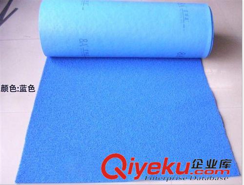 走廓毯 防塵地墊寶麗美8A8(8A)廠家直銷PVC噴絲卷材加厚料迎賓地原始圖片3