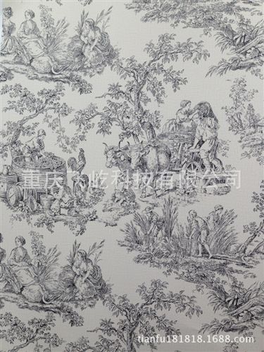 美國約克[YORK] 進口墻紙、美國約克墻紙，約克墻紙總代理原始圖片3