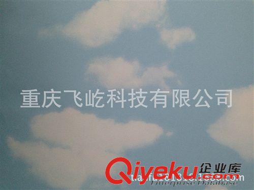 酒店專用墻紙 藍天白云PVC墻紙，墻貼原始圖片3