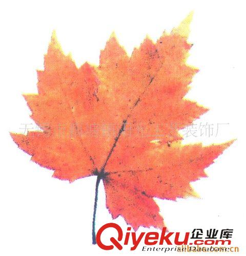 蠟燭花紙 供應(yīng)蠟燭水貼花紙  蠟燭水轉(zhuǎn)印花紙