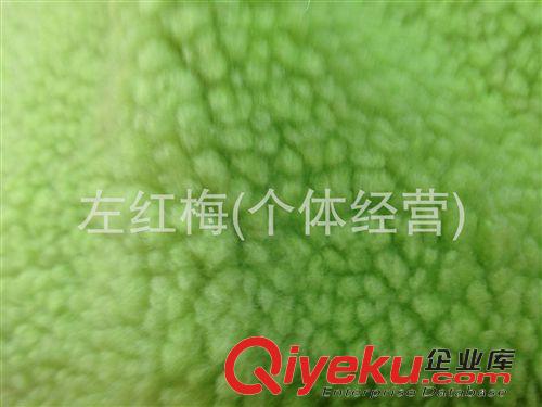 羊羔毛 供應羊羔絨提花、褪色、全滌羊羔絨、長毛絨、