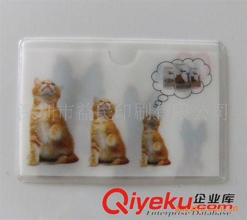 布類 深圳廠家UV柯式加工 東莞pvc pet pp eva pc膠片 印刷吸塑