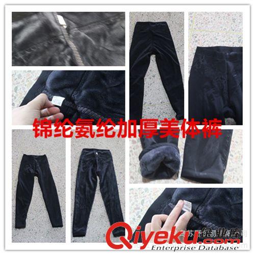 一體褲 天鵝絨竹纖維拉絨褲廠家直銷(xiāo)拉絨褲外貿(mào)打底褲拉絨褲糖果色拉絨褲