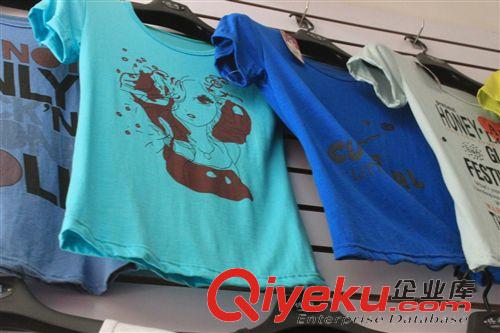 女式T恤 2013春夏爆款同款v罩衫莫代爾 韓版女裝短袖t恤廠家供應(yīng)