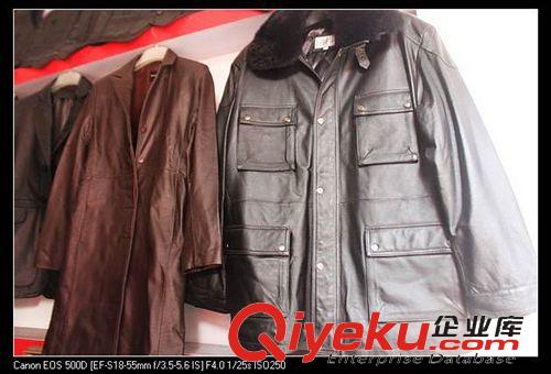 男式zp皮衣 批發(fā)供應(yīng)男式zp皮衣廠家批發(fā)直銷，zp皮衣皮夾克，羊皮皮衣原始圖片2