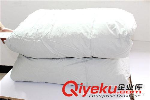 羽絨被 廠家外貿(mào)庫存羽絨被清貨加厚gd羽絨被清貨原單羽絨被處理鴨絨被原始圖片2