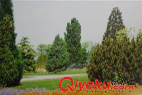 油畫 【義烏廠家直銷】數(shù)字油畫，源自歐洲藝術(shù)家的設(shè)計理念