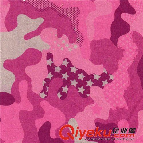 印刷純棉帆布 專業(yè)色彩 純棉數(shù)碼印花 全棉印花加工廠—專業(yè)純棉印花加工原始圖片2