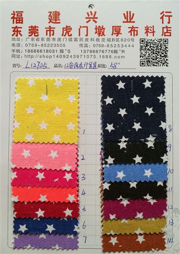 印花布 現(xiàn)貨供應(yīng) 帆布 帆布印花 馬丁布印花 印星星 印條紋 民族風(fēng)情