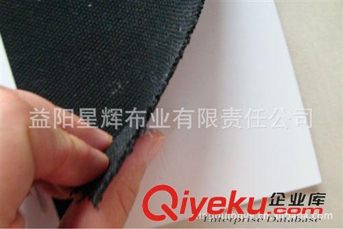 T／C 滌棉半漂／漂白／胚布 滌棉16安帆布全工藝活性染黑色  T/C/10s/3*3原始圖片3