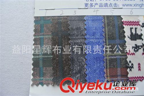 風衣面料 20D尼龍燙印花格子紋羽絨服風衣夾克服裝面料 CL220原始圖片2