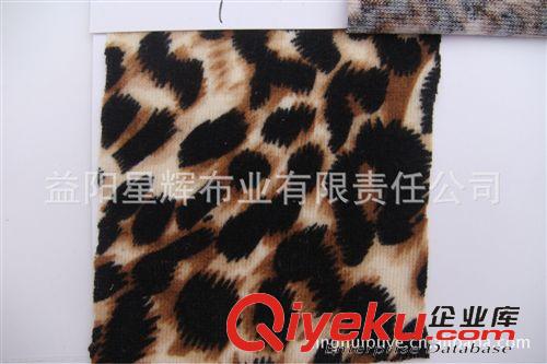 針織面料 豹紋針織面料豹紋印花服裝圍巾面料 CL79原始圖片2