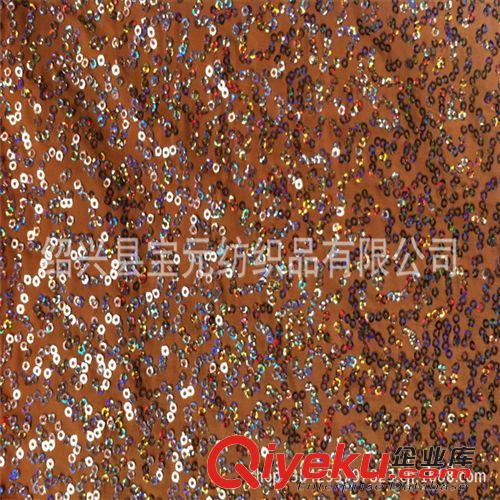 演出服舞臺(tái)裝面料 供應(yīng)針織滌綸彈力布蚯蚓亮片繡花布 珠片加工