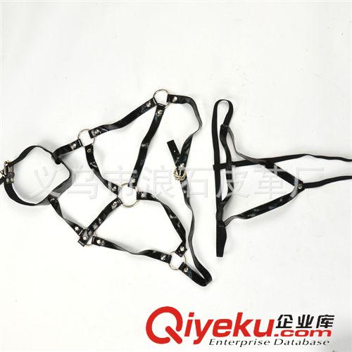 情趣內(nèi)衣 供應(yīng)批發(fā)成人用品  另類束縛捆綁衣服  皮革狂野型情趣用品原始圖片2