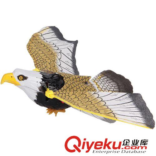 掌柜推薦 電動仿真吊線老鷹飛鷹 眼睛會亮會發(fā)聲老鷹玩具 夜市地攤熱賣玩具原始圖片3