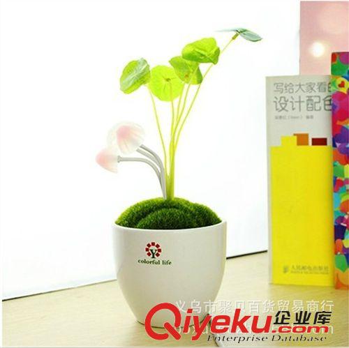 小夜燈專賣 地攤貨熱賣裝飾發光七彩花朵蝴蝶貼紙可吸附小夜 燈新奇特贈品