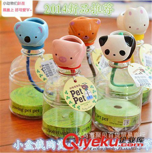 八月份新品 渴渴吸里動物DIY迷你有氧小植栽 廠家批發桌面微型懶人澆水盆栽