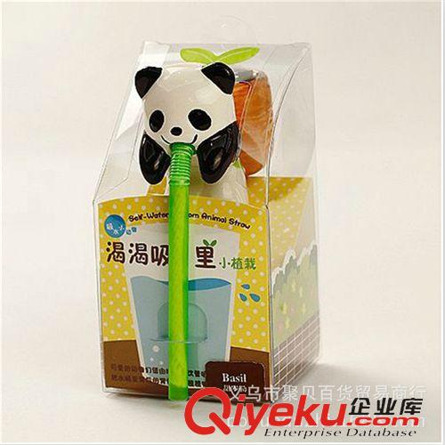 八月份新品 渴渴吸里動物DIY迷你有氧小植栽 廠家批發桌面微型懶人澆水盆栽原始圖片3
