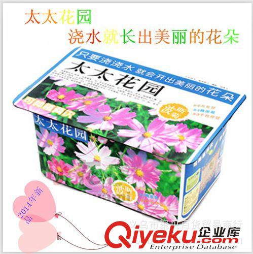 七月份新品 十二星座花 幸運花 防輻射迷你植物工藝品 辦公室diy盆栽創意禮品