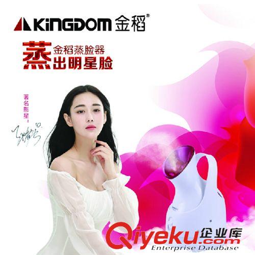 金稻系列 土豪金 蒸臉噴霧機 潔面器潤膚儀金稻 KD-233A 蒸臉器 帶等離子