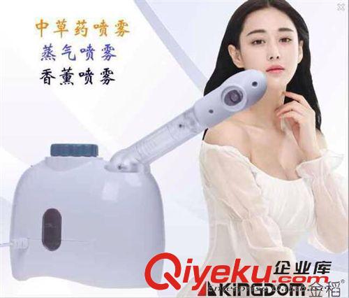 金稻系列 金稻K-33Czcy噴霧機蒸臉器熱噴機美容儀器家用噴霧器潔面儀原始圖片2