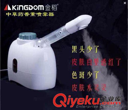 金稻系列 金稻K-33Czcy噴霧機蒸臉器熱噴機美容儀器家用噴霧器潔面儀原始圖片3